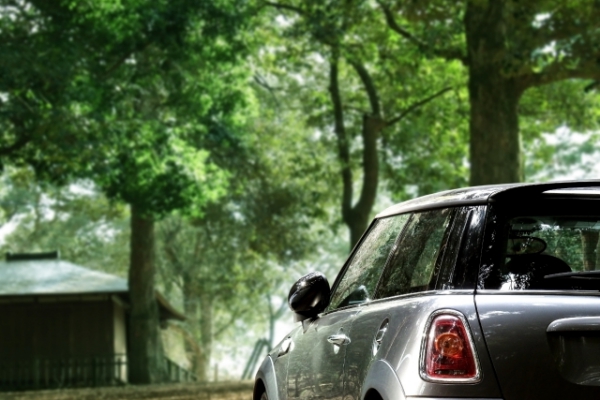 限定294車【MINI（ミニ）スピードゲートR56】の買取額や希少価値とは